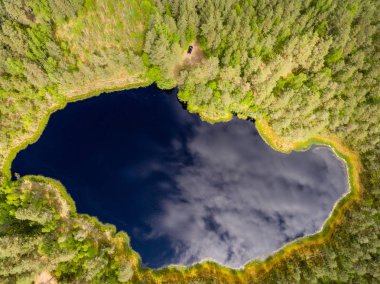 Drone görüntü. lake Forest ile kırsal alanının havadan görünümü