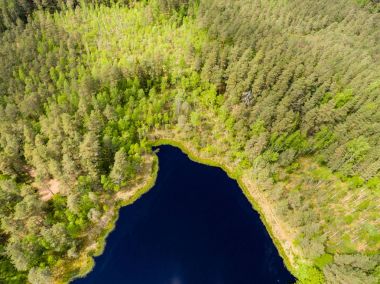 Drone görüntü. lake Forest ile kırsal alanının havadan görünümü