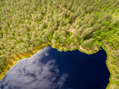 Drone görüntü. lake Forest ile kırsal alanının havadan görünümü