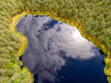 Drone görüntü. lake Forest ile kırsal alanının havadan görünümü