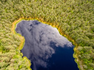 Drone görüntü. lake Forest ile kırsal alanının havadan görünümü