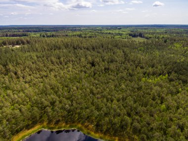 Drone görüntü. lake Forest ile kırsal alanının havadan görünümü