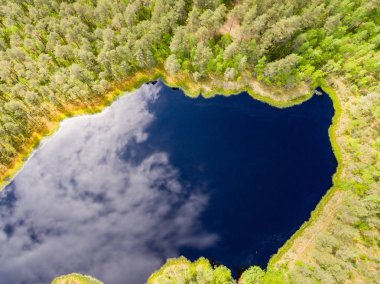 Drone görüntü. lake Forest ile kırsal alanının havadan görünümü