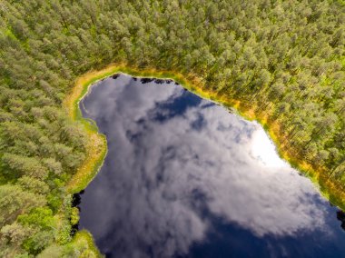 Drone görüntü. lake Forest ile kırsal alanının havadan görünümü