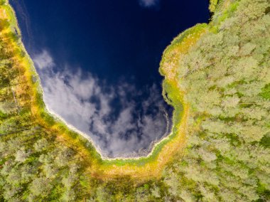 Drone görüntü. lake Forest ile kırsal alanının havadan görünümü
