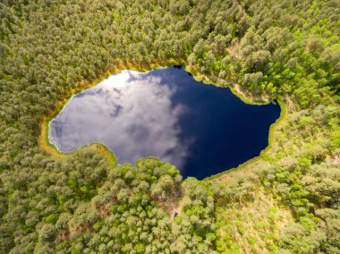 Drone görüntü. lake Forest ile kırsal alanının havadan görünümü