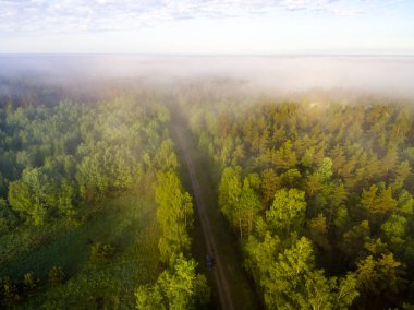Drone görüntü. sabah hava görünümünü sis üzerinde yeşil orman