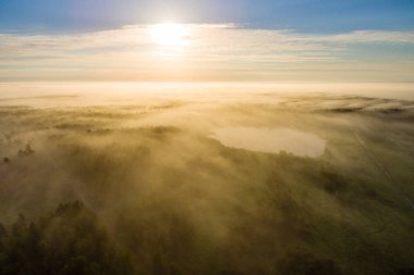 Drone görüntü. sabah hava görünümünü sis üzerinde yeşil orman