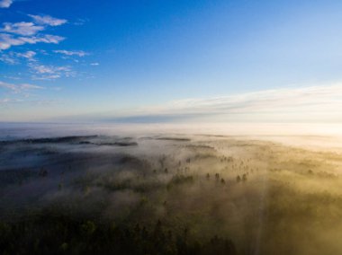 Drone görüntü. sabah hava görünümünü sis üzerinde yeşil orman