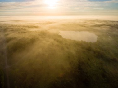 Drone görüntü. sabah hava görünümünü sis üzerinde yeşil orman
