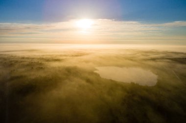 Drone görüntü. sabah hava görünümünü sis üzerinde yeşil orman