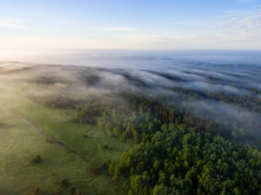 Drone görüntü. sabah hava görünümünü sis üzerinde yeşil orman