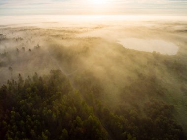 Drone görüntü. sabah hava görünümünü sis üzerinde yeşil orman
