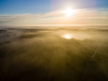 Drone görüntü. sabah hava görünümünü sis üzerinde yeşil orman