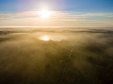 Drone görüntü. sabah hava görünümünü sis üzerinde yeşil orman