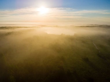 Drone görüntü. sabah hava görünümünü sis üzerinde yeşil orman