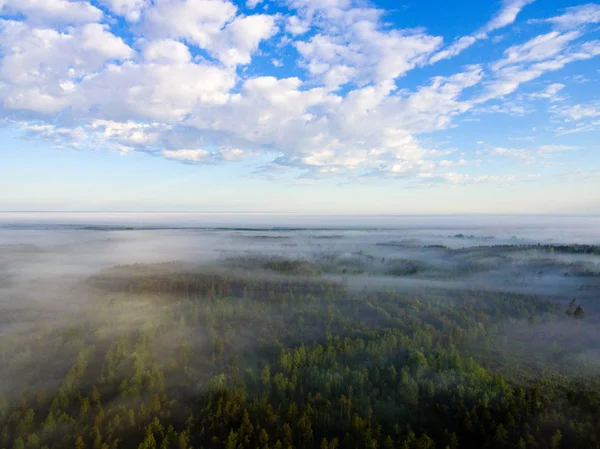 Drone image. aerial view of morning mist over green forest — Stock Photo, Image