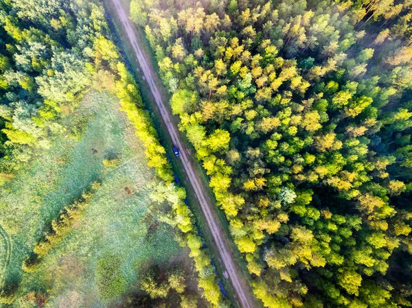 Imagem de drone. vista aérea da névoa da manhã sobre a floresta verde — Fotografia de Stock