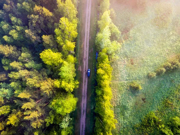 drone image. aerial view of morning mist over green forest