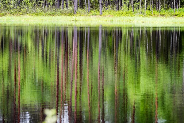 Riflessi di alberi nell'acqua del lago sotto il luminoso sole di mezzogiorno — Foto Stock