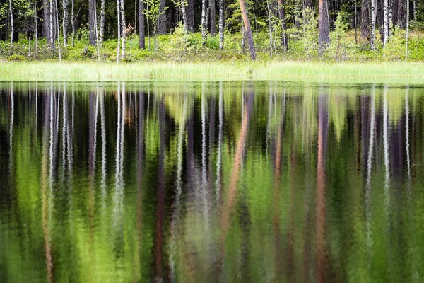 Riflessi di alberi nell'acqua del lago sotto il luminoso sole di mezzogiorno — Foto Stock