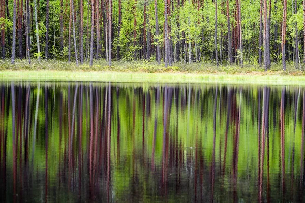 Reflejos de árboles en el agua del lago en el sol brillante del mediodía — Foto de Stock