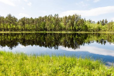 Göl su parlak öğlen güneşin ağaçlarda yansımaları