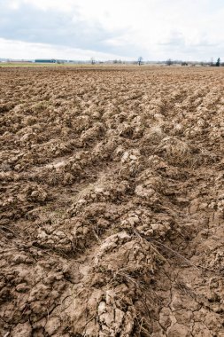 Tarım arazisi. Gozlerime tarım arazi üzerinde