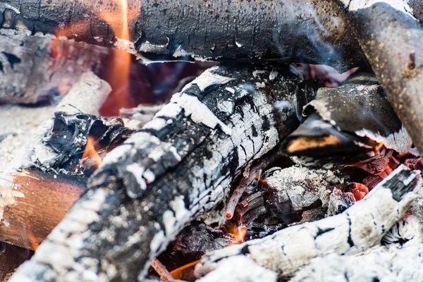 Lasy są palenie w kominku, ciepłe, ciepła, ogień — Zdjęcie stockowe
