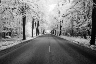 Orman ülkede çakıl yol. kızılötesi görüntü