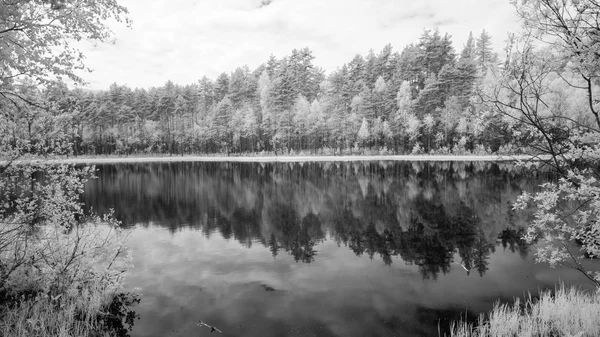 Sıcak yaz günü orman göl. kızılötesi görüntü — Stok fotoğraf