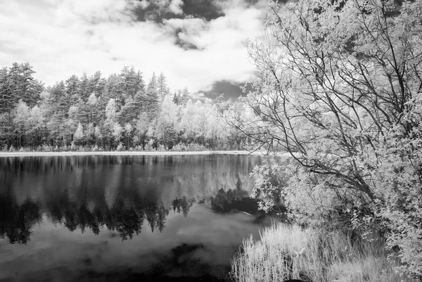 Forest lake in hot summer day. infrared image — Stock Photo, Image