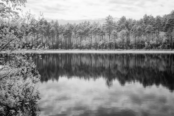 Las Jezioro w gorący letni dzień. obrazów w podczerwieni — Zdjęcie stockowe