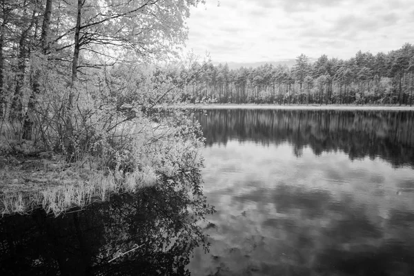 뜨거운 여름 날에 숲 호수입니다. 적외선 이미지 — 스톡 사진