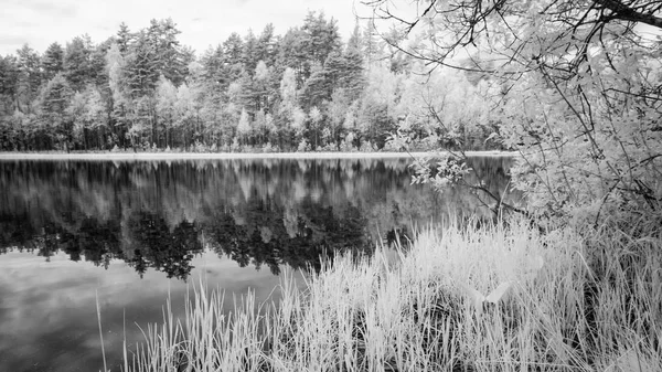 夏の暑い日に森の湖。赤外線画像 — ストック写真