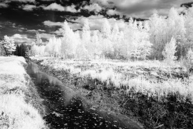 kırsal alanlara yazın. kızılötesi görüntü