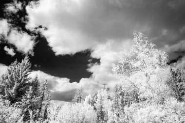 kırsal alanlara yazın. kızılötesi görüntü