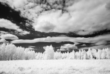 kırsal alanlara yazın. kızılötesi görüntü