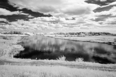 sıcak yaz günü orman göl. kızılötesi görüntü