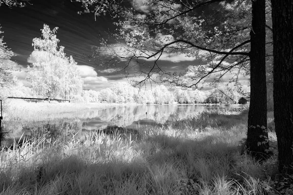 Lac forestier dans une chaude journée d'été. image infrarouge — Photo