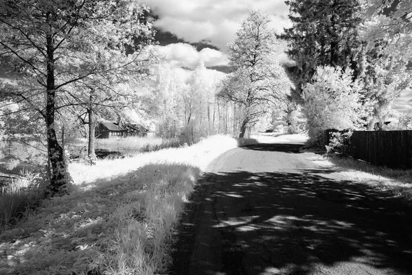 Land grusväg i skogen. infraröd bild — Stockfoto