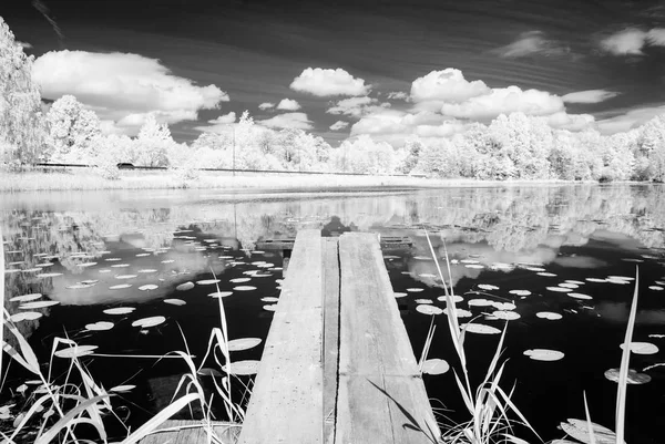 夏の暑い日に森の湖。赤外線画像 — ストック写真