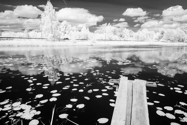 夏の暑い日に森の湖。赤外線画像 — ストック写真