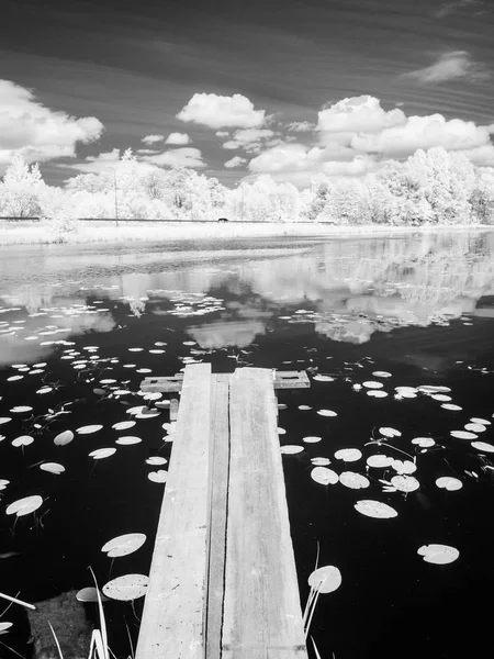 夏の暑い日に森の湖。赤外線画像 — ストック写真