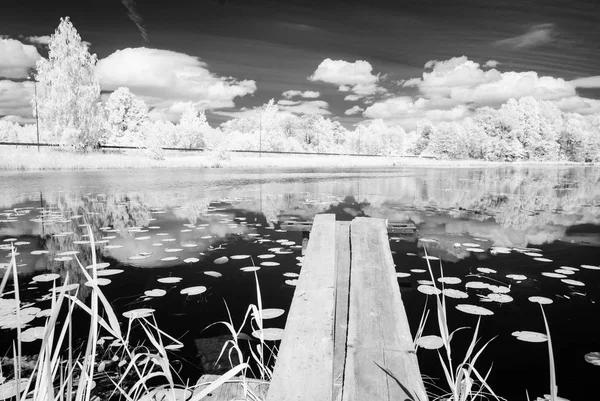 夏の暑い日に森の湖。赤外線画像 — ストック写真