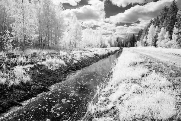 Landsbygden fält i sommar. infraröd bild — Stockfoto