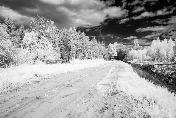 Land grusväg i skogen. infraröd bild — Stockfoto