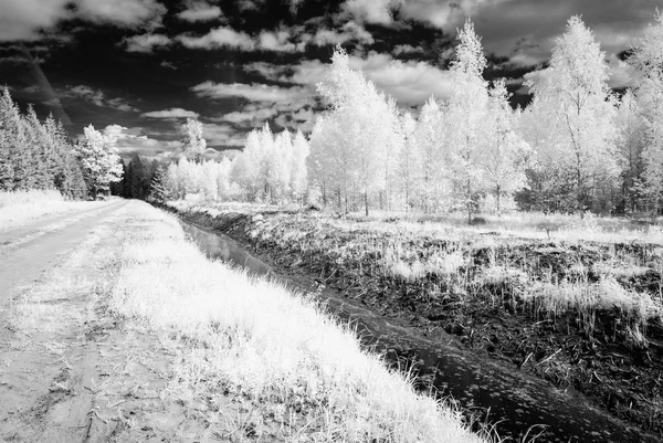 Landsbygden fält i sommar. infraröd bild — Stockfoto