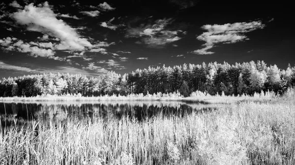 Lesní jezero v horkém letním dni. infračervený obrázek — Stock fotografie