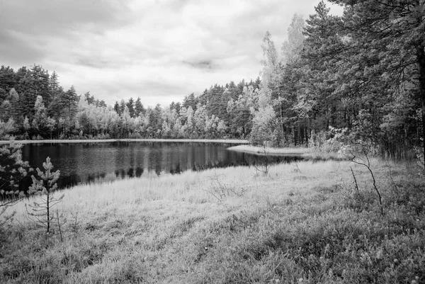 Lago da floresta no dia quente do verão. imagem infravermelha — Fotografia de Stock